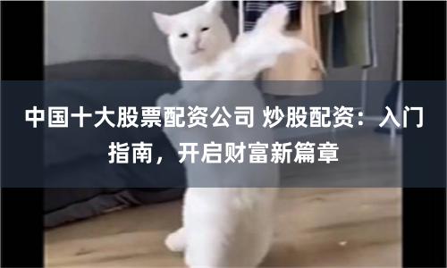 中国十大股票配资公司 炒股配资：入门指南，开启财富新篇章