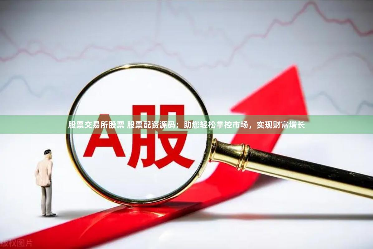 股票交易所股票 股票配资源码：助您轻松掌控市场，实现财富增长
