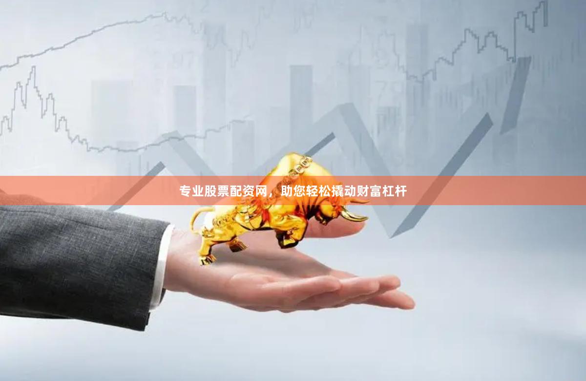专业股票配资网，助您轻松撬动财富杠杆