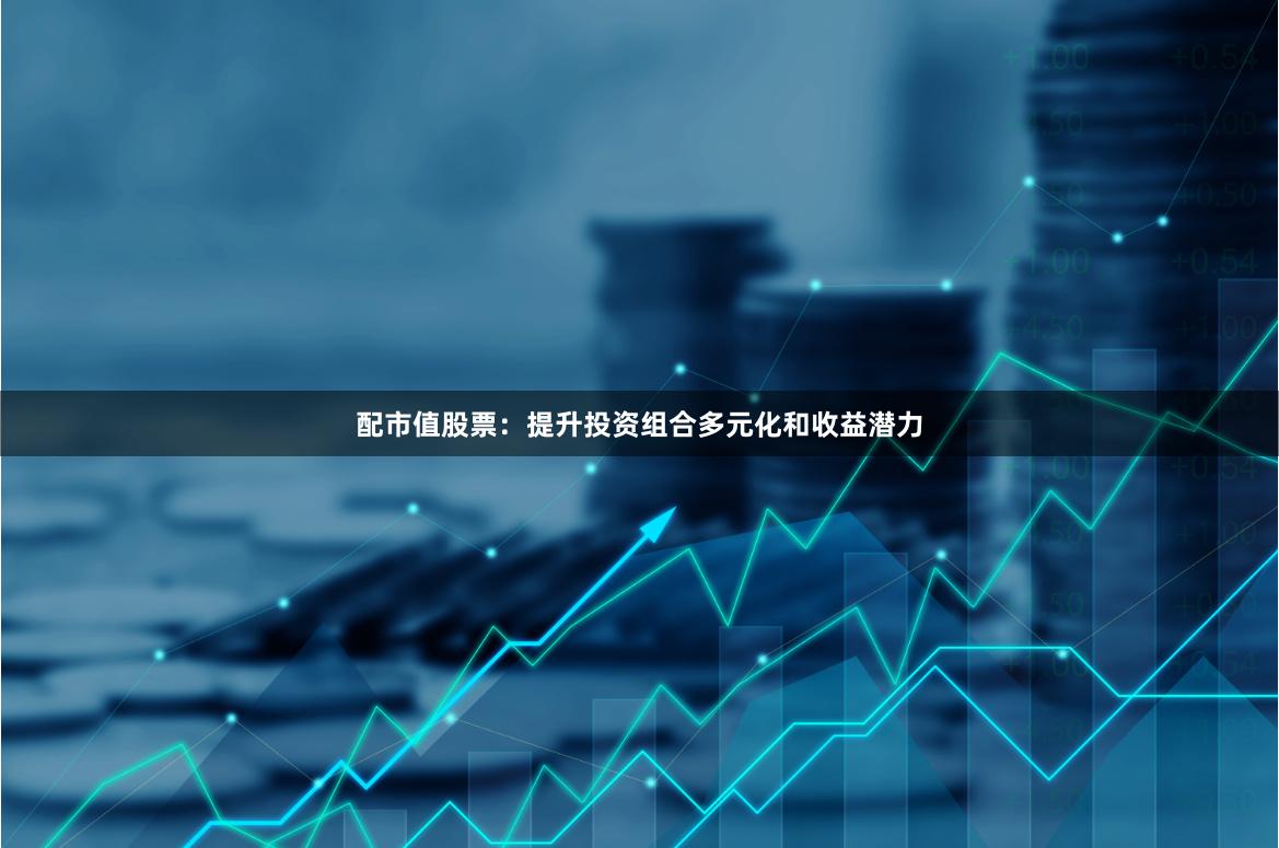 配市值股票：提升投资组合多元化和收益潜力