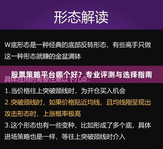 股票策略平台哪个好？专业评测与选择指南