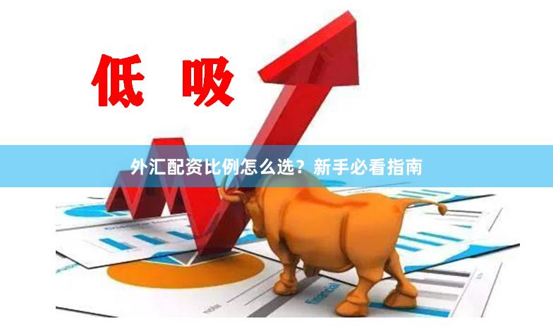 外汇配资比例怎么选？新手必看指南