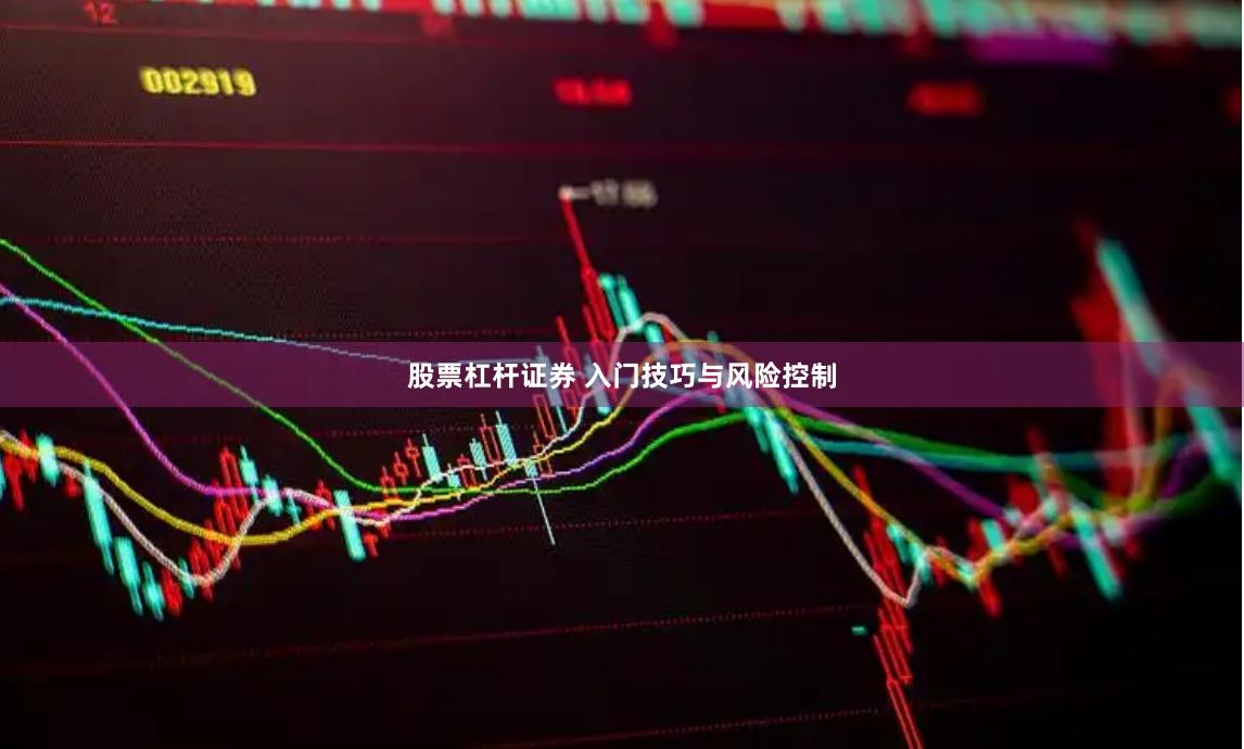 股票杠杆证券 入门技巧与风险控制