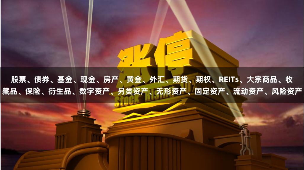 股票、债券、基金、现金、房产、黄金、外汇、期货、期权、REITs、大宗商品、收藏品、保险、衍生品、数字资产、另类资产、无形资产、固定资产、流动资产、风险资产